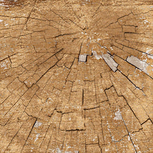 Load image into Gallery viewer, MP-60582 Hello 12x12 02