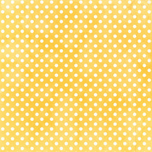 Load image into Gallery viewer, MP-61972 Vintage Picnic Party 12x12 Sunny Days